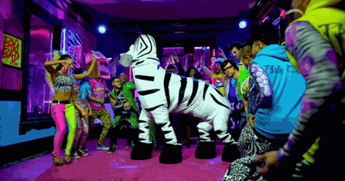 zebra.gif Animated reaction: Zebra