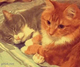 66b35dc4-5816-b027-0553-c29f27d1e44c.gif Animated reaction: accompanying: Learn how to resolve conflicts