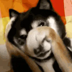 Animated reaction: Frustrated Big Dog