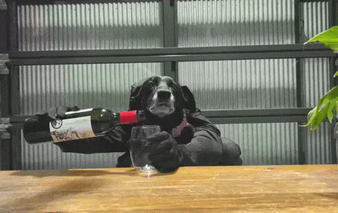 Animated reaction: Happy Dog