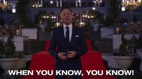 Season+25+Abc+GIF+by+The+Bachelor.gif Animated reaction: Season 25 Abc