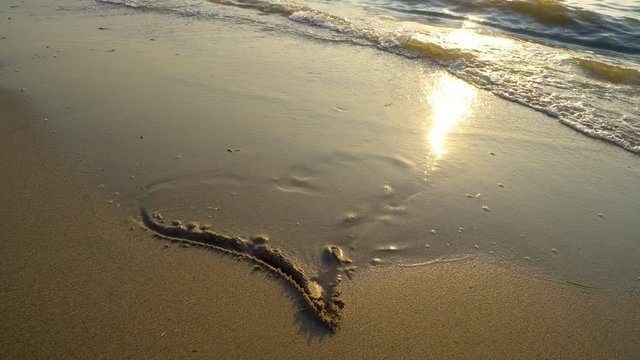 Image: accompanying: Have you ever wondered why love fades? Why it can be so good in the beginning and then be