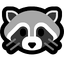 icon of RacoonDR