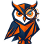 icon of OwnerClue