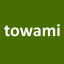 icon of Towami. Costa Rica