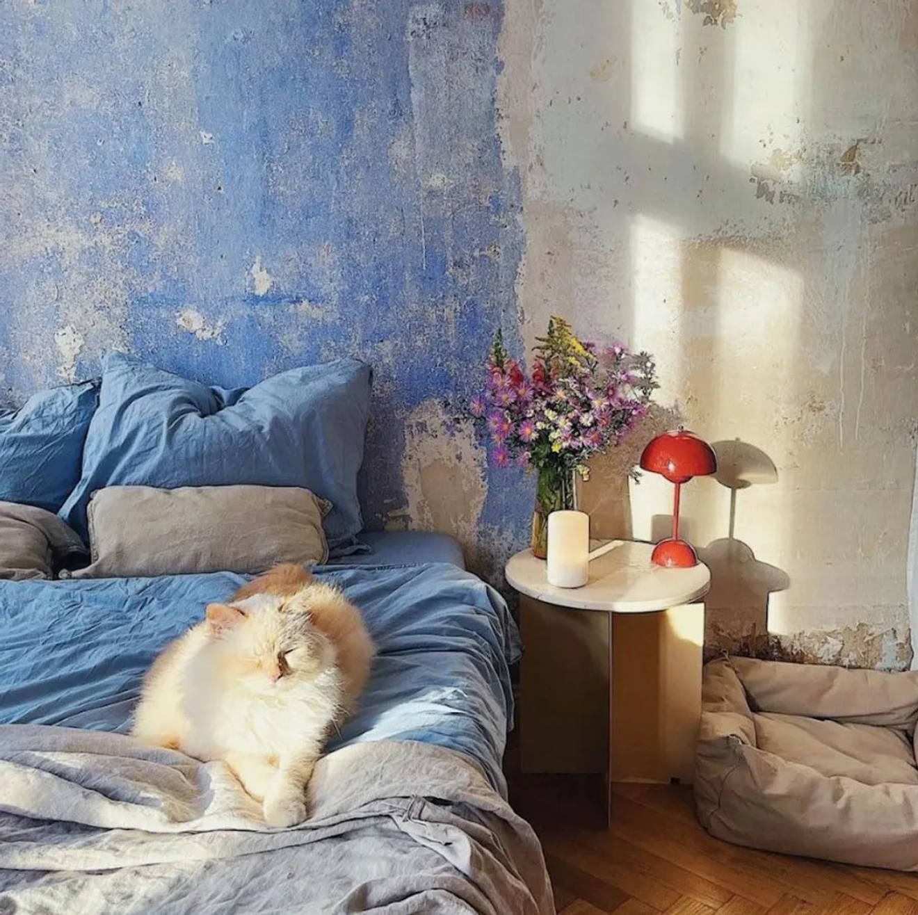 En fluffig katt sitter på en blåbäddad säng i ett soligt sovrum med blommor och en röd bordslampa.