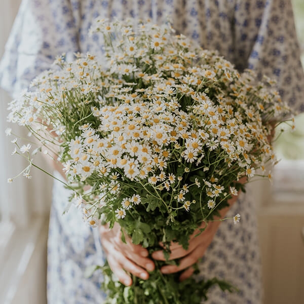 Pynt med markblomster