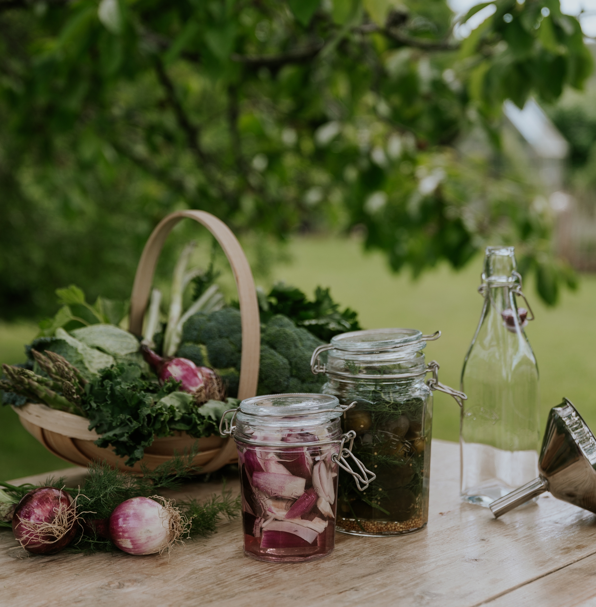 Glass med fermenterte grønnsaker og en kurv med grønnsaker på et trebord