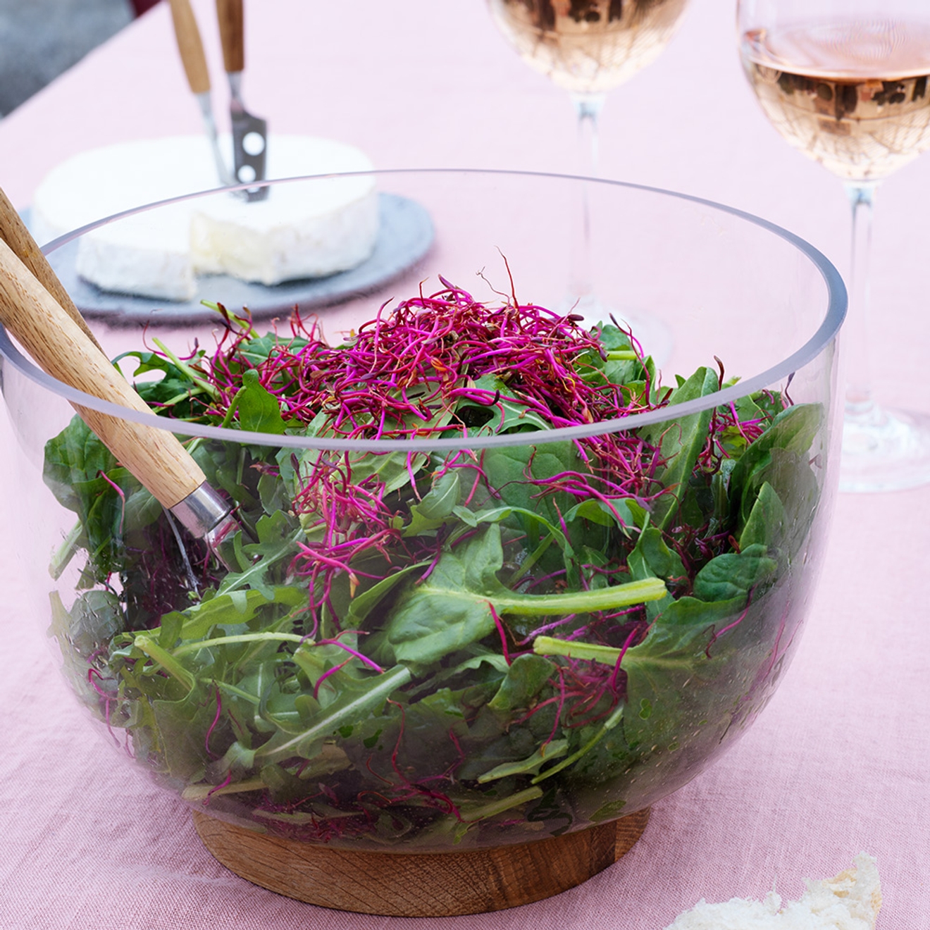 Salladsslunga sallad i glasskål med rödbetsgroddar 