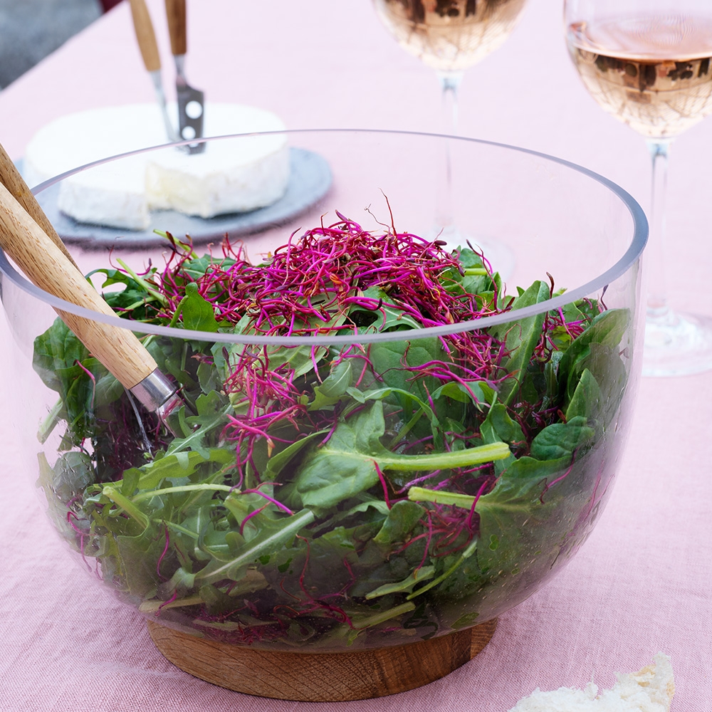 Salladsslunga sallad i glasskål med rödbetsgroddar