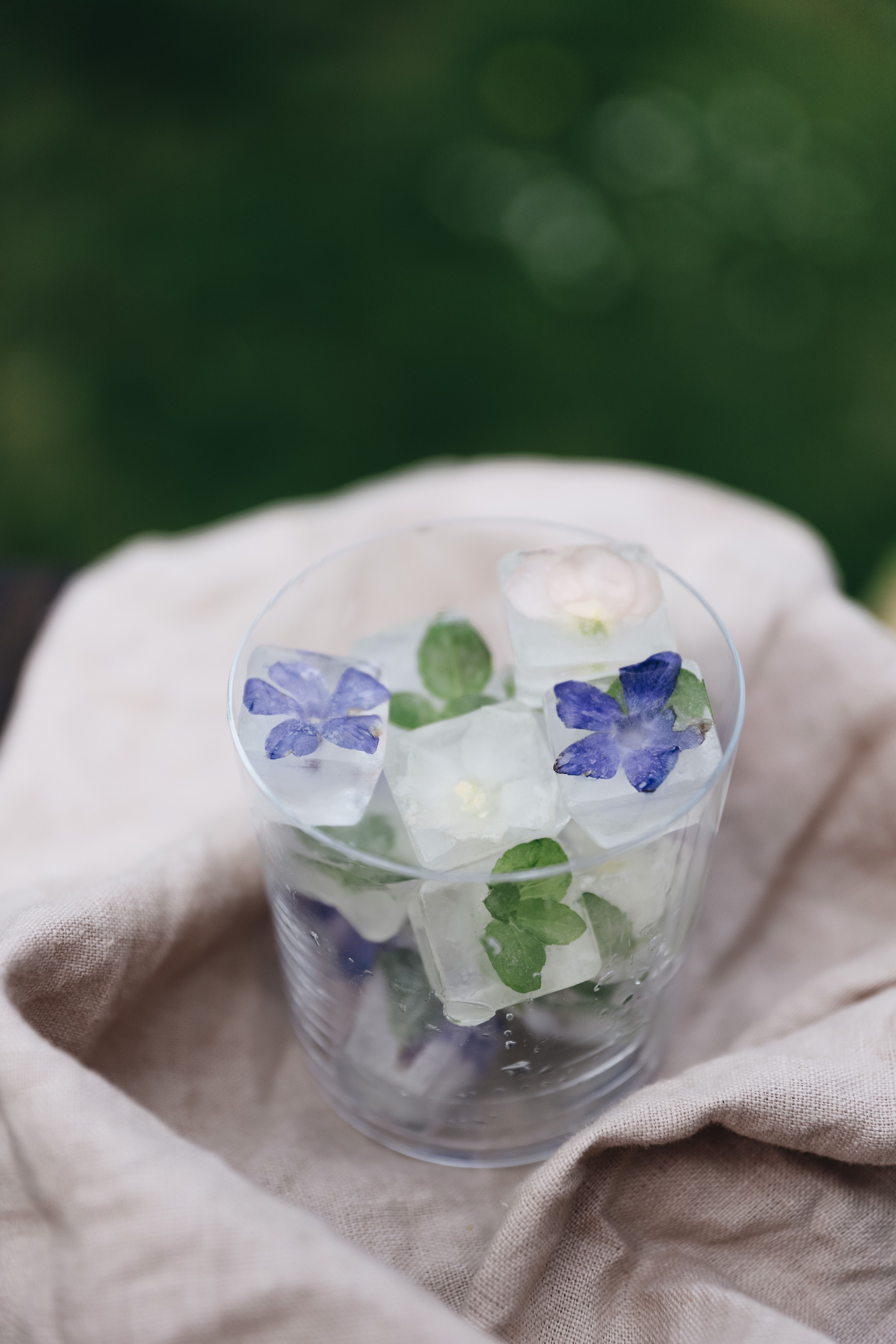 Isbitar med frysta blommor i glas