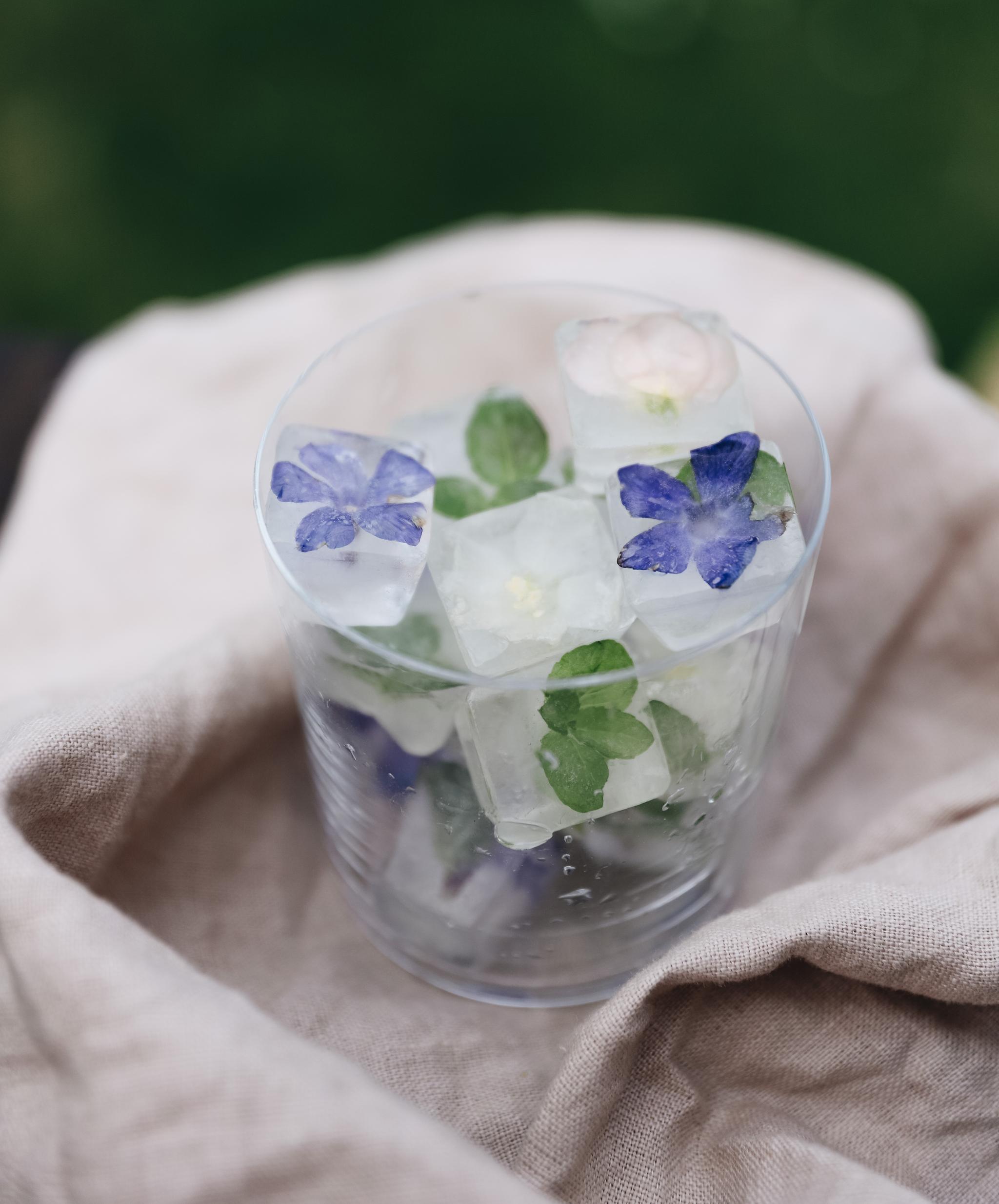 Isbitar med frysta blommor i glas