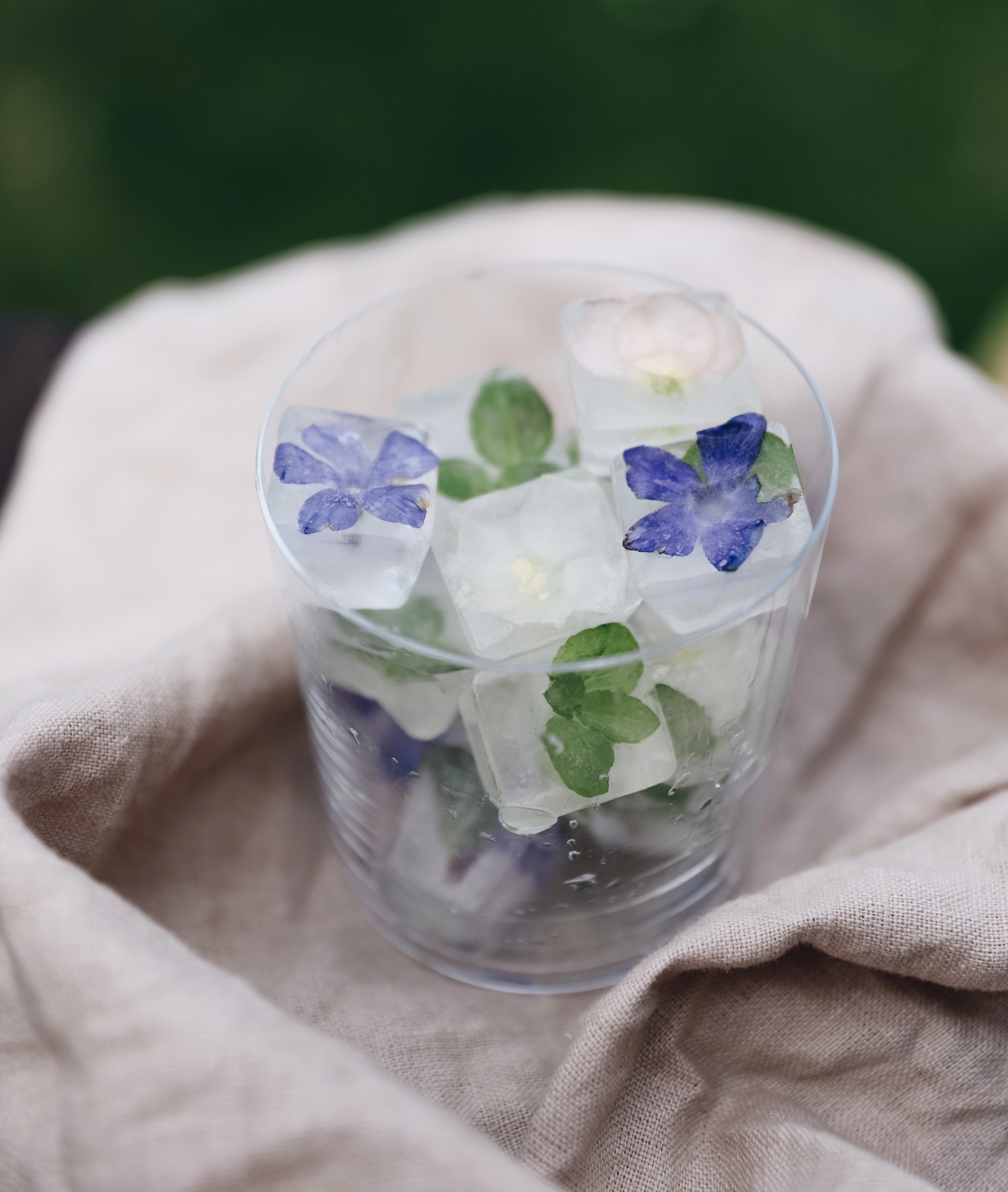 Isbitar med frysta blommor i glas
