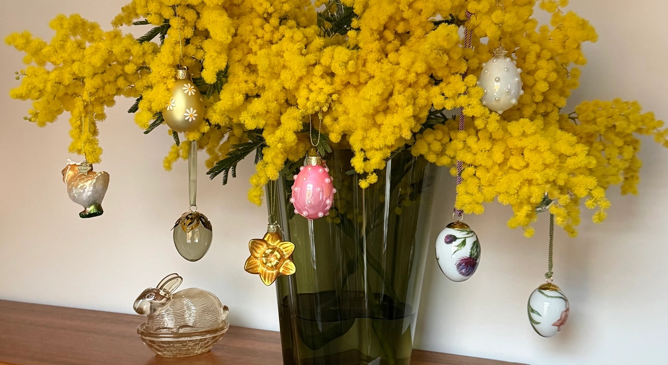 Gule mimosablomster dekorert med hengende påskeeggpynt.