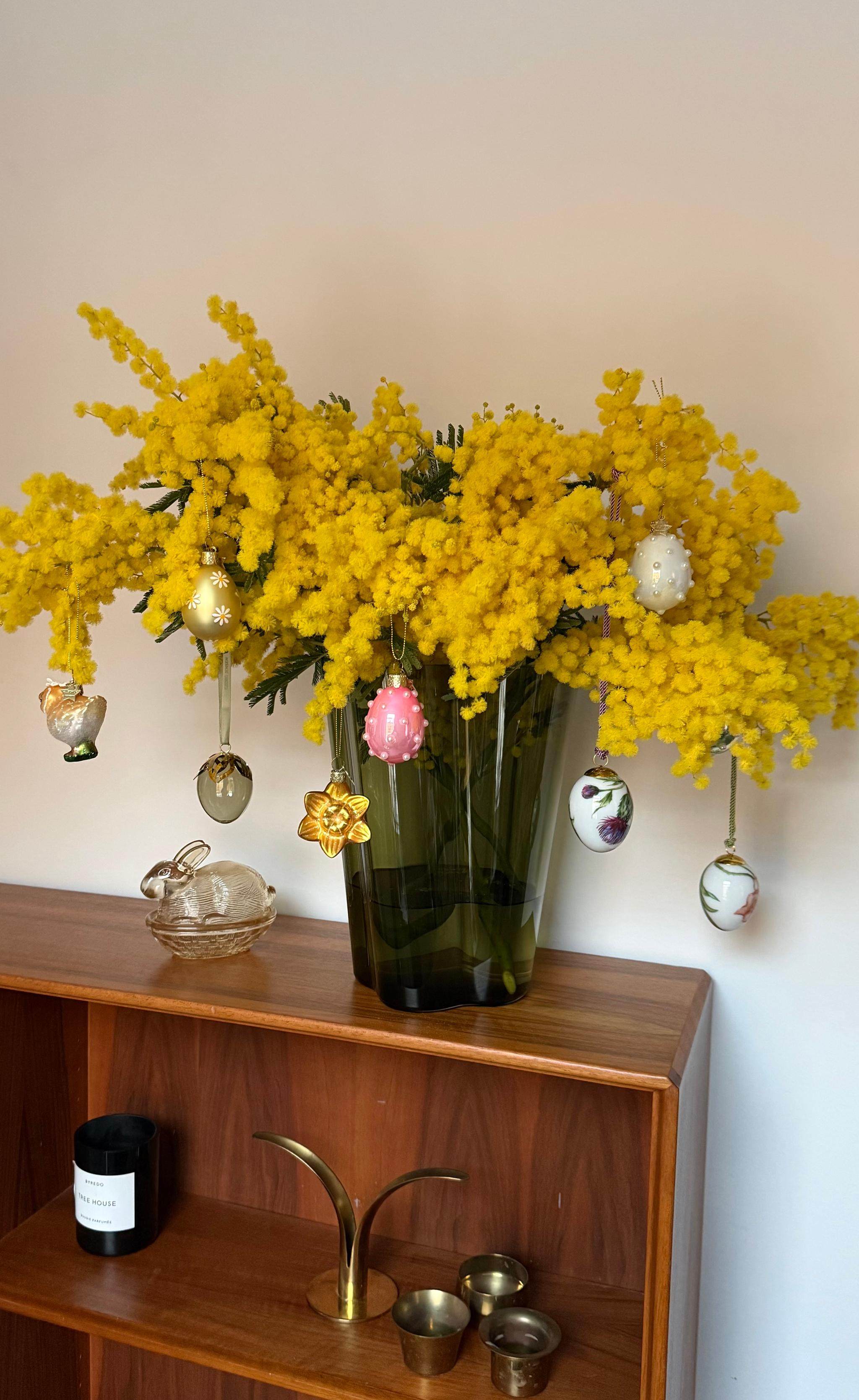 En bukett med knallgule mimosablomster i en vase, pyntet med hengende påskeegg