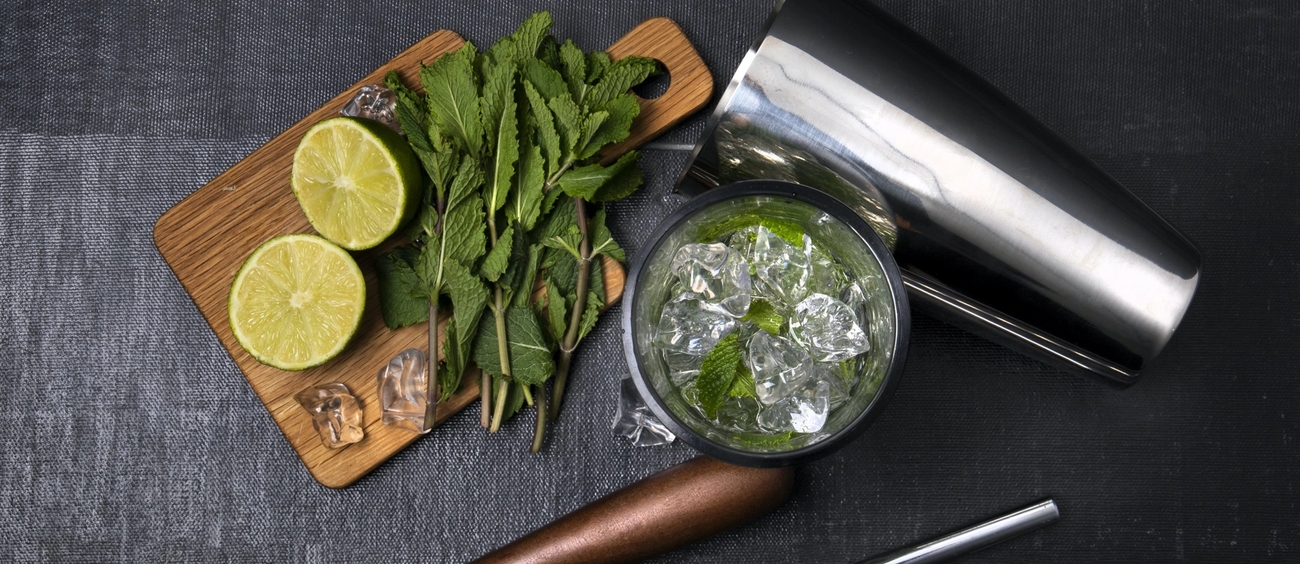 Bar Craft bartenderset redo för att göra en mojito drink