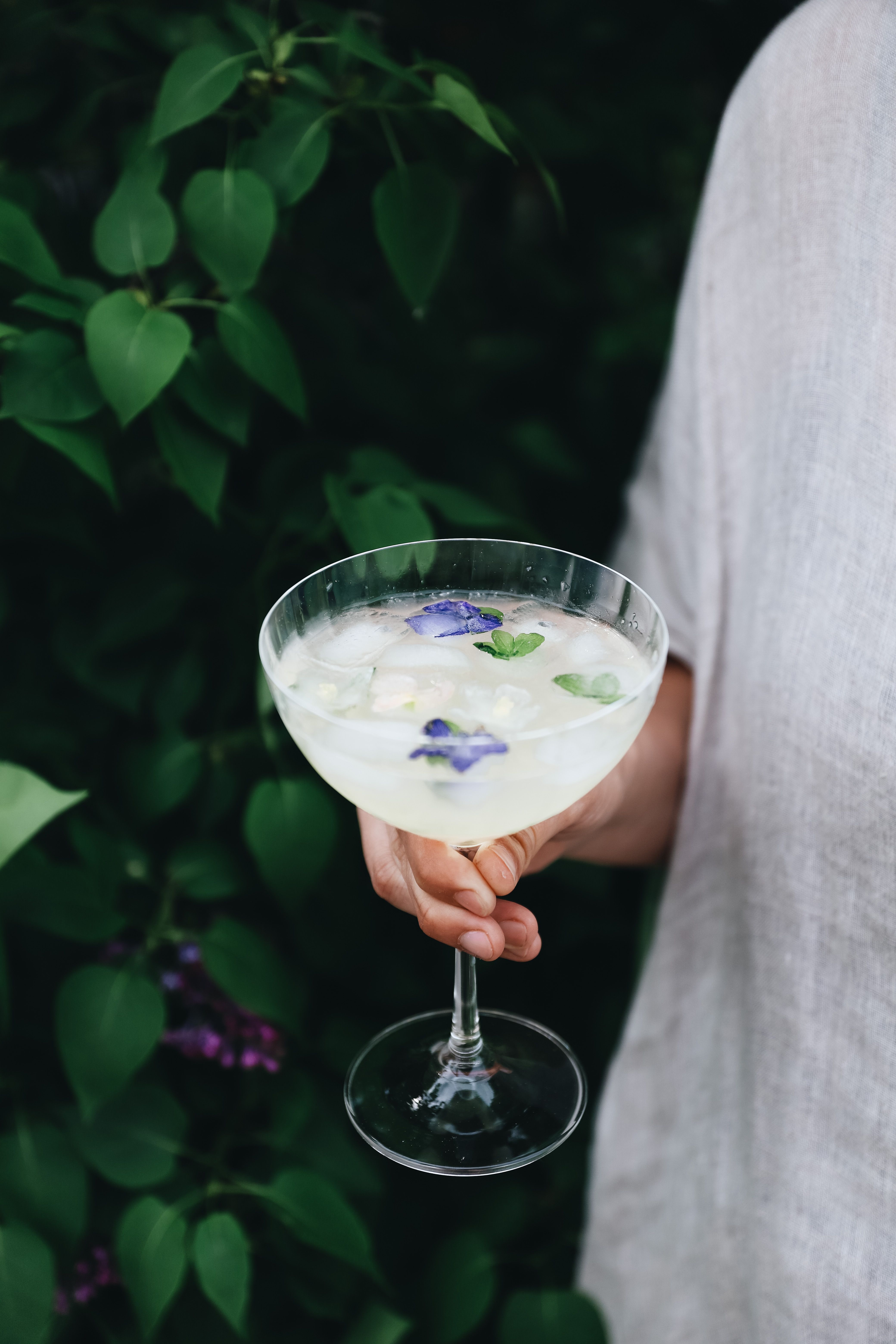 Champagnecoupe med ätbara blommor i drink i trädgård