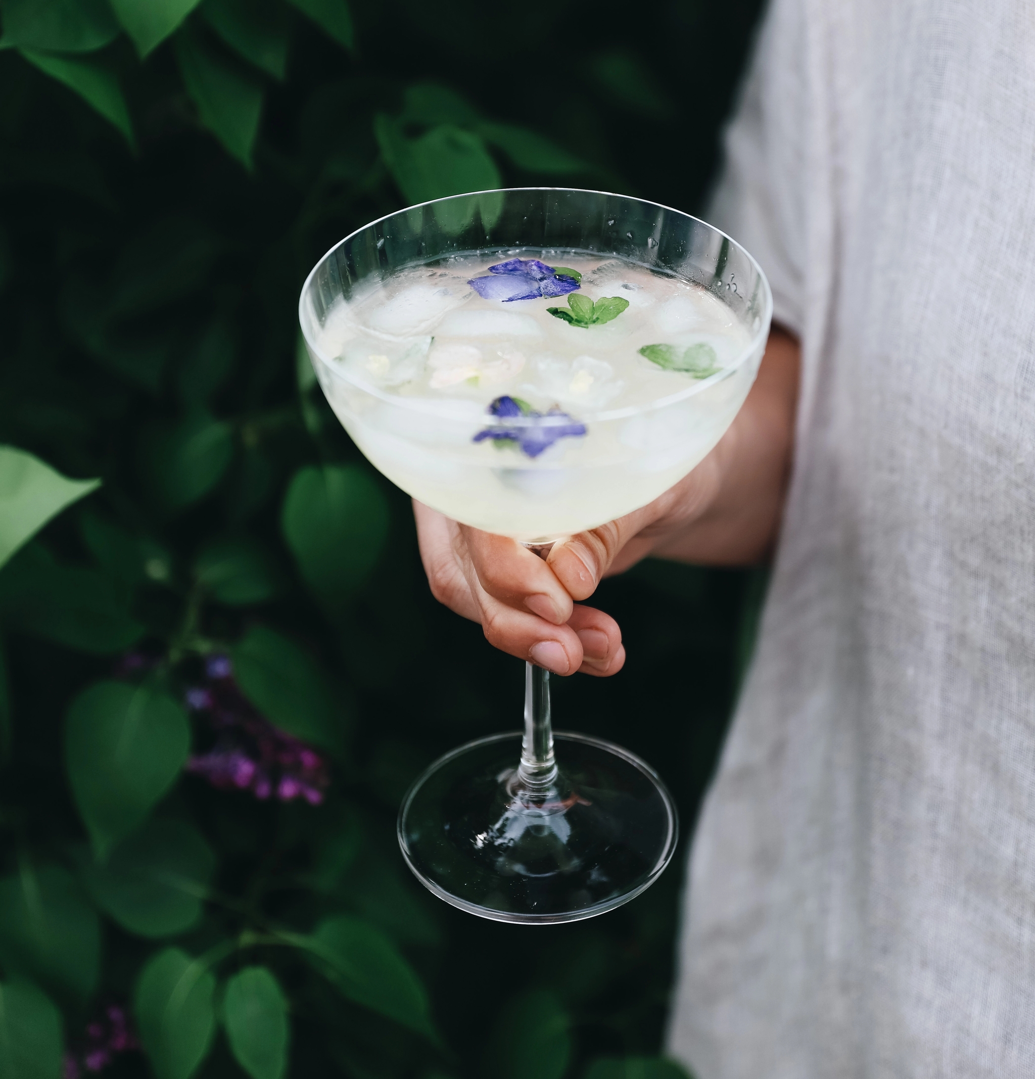 Champagnecoupe med ätbara blommor i drink i trädgård