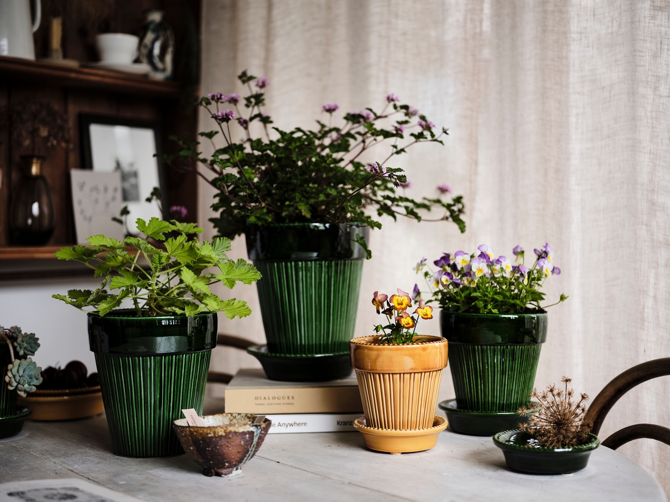 vihreät kukkaruukut sekä yksi keltainen kukkaruukku bergs potter :ilta joissa viherkasvit