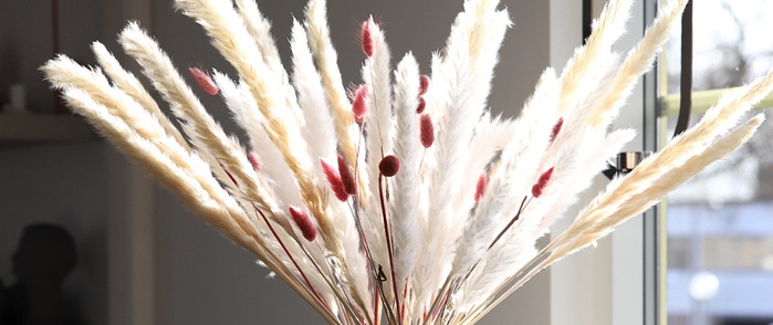 Tørkede blomster, lyse pampasgress og rosa strå