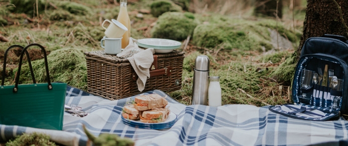 Kurver i plast, flettet, stoff i skogen på piknikpledd med brødskiver og termos
