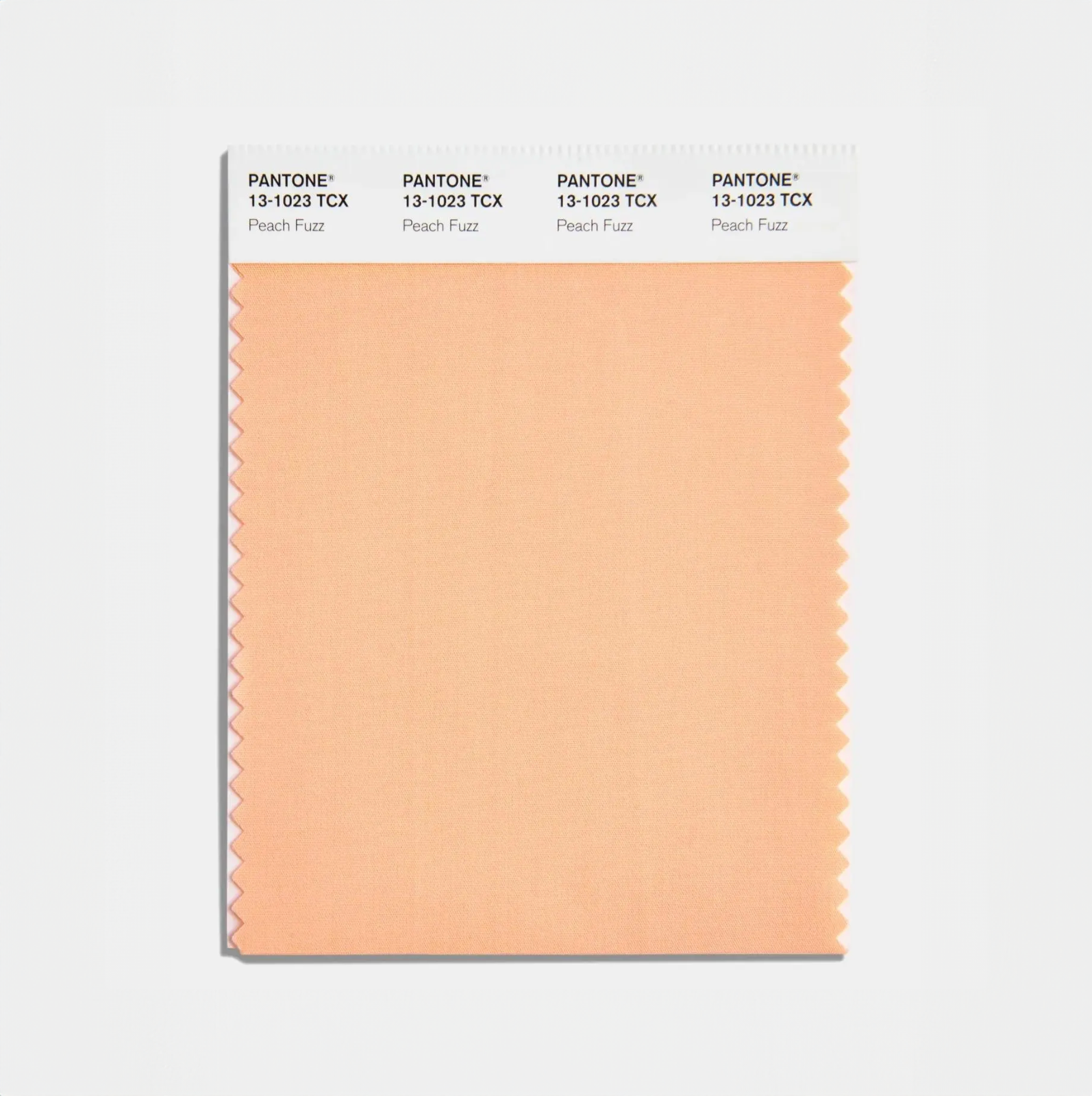 Cervera trendspaning trendfärg 2024 peach fuzz