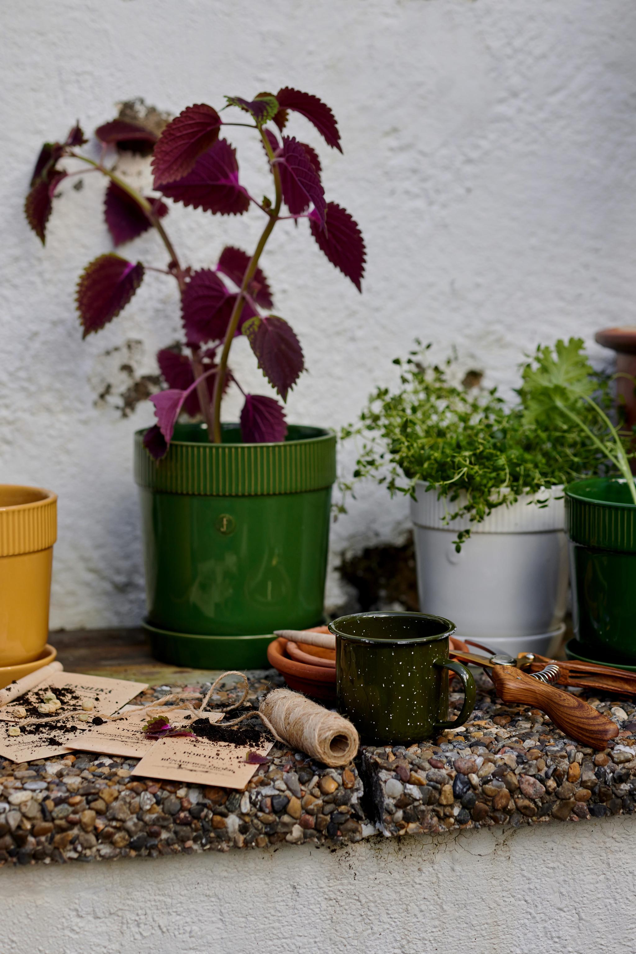 En trädgårdsutställning med krukväxter, fröpåsar, verktyg och snöre på en stenbelagd avsats.