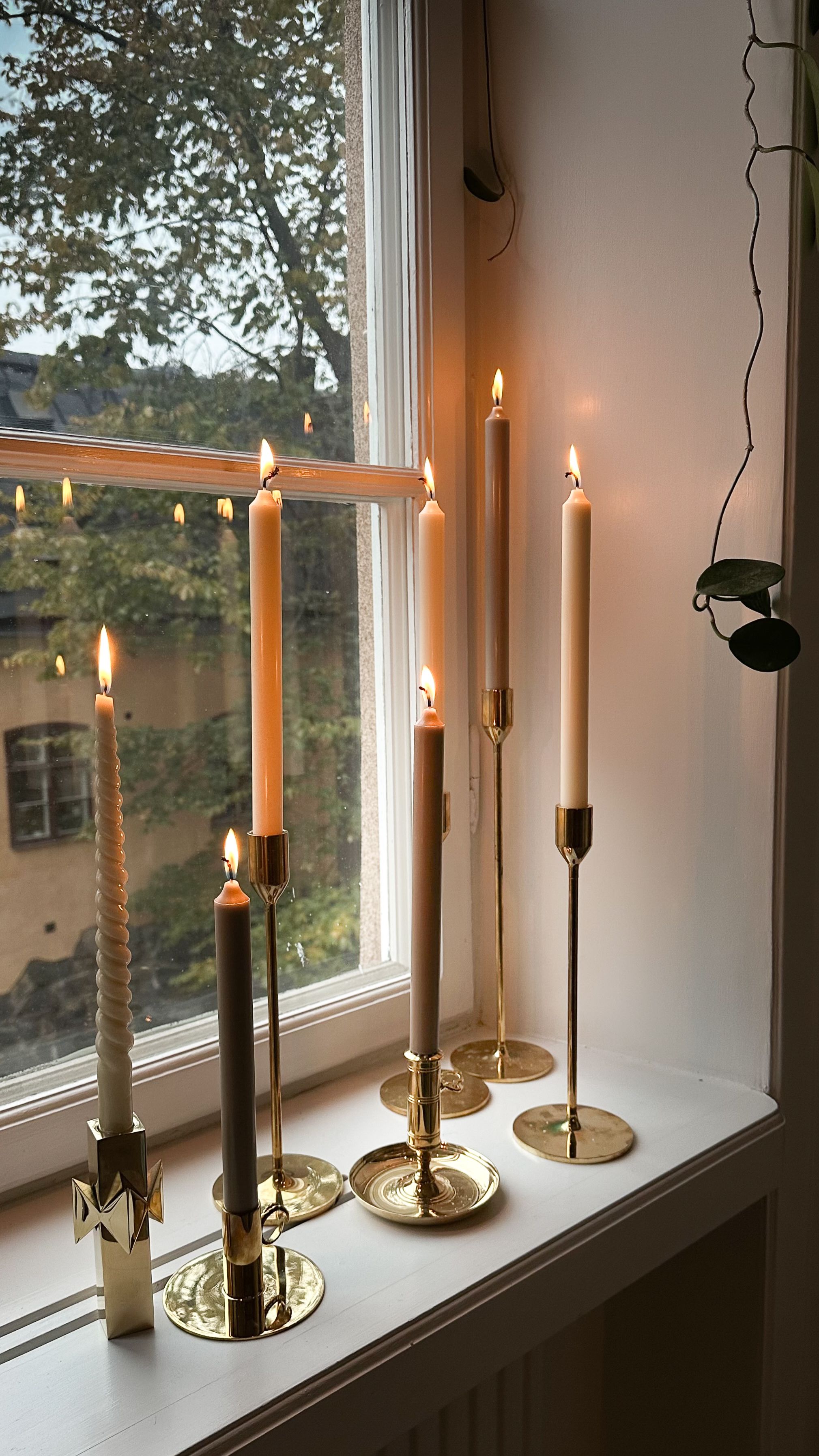 Seven lit candles in brass holders on a white windowsill, with a window showing trees outside.