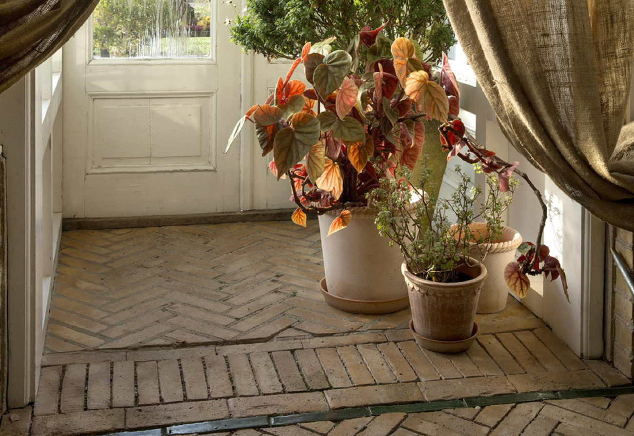 Bergs Potter Emilia kruka krukor för blommor