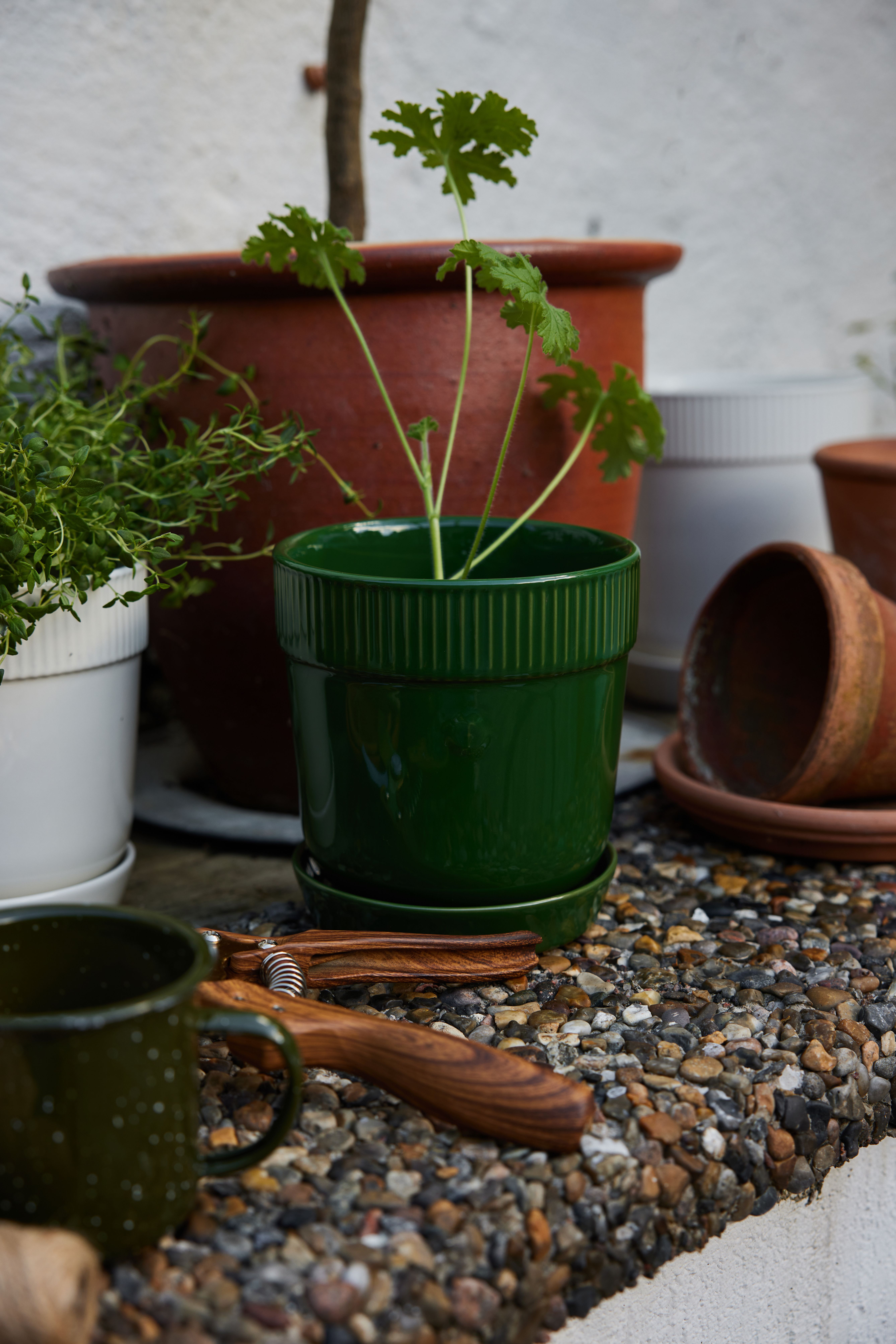 En grön krukväxt, en grön spräcklig mugg och ett trädgårdsredskap i trä ligger på en strukturerad yta av småsten, med andra krukor i bakgrunden