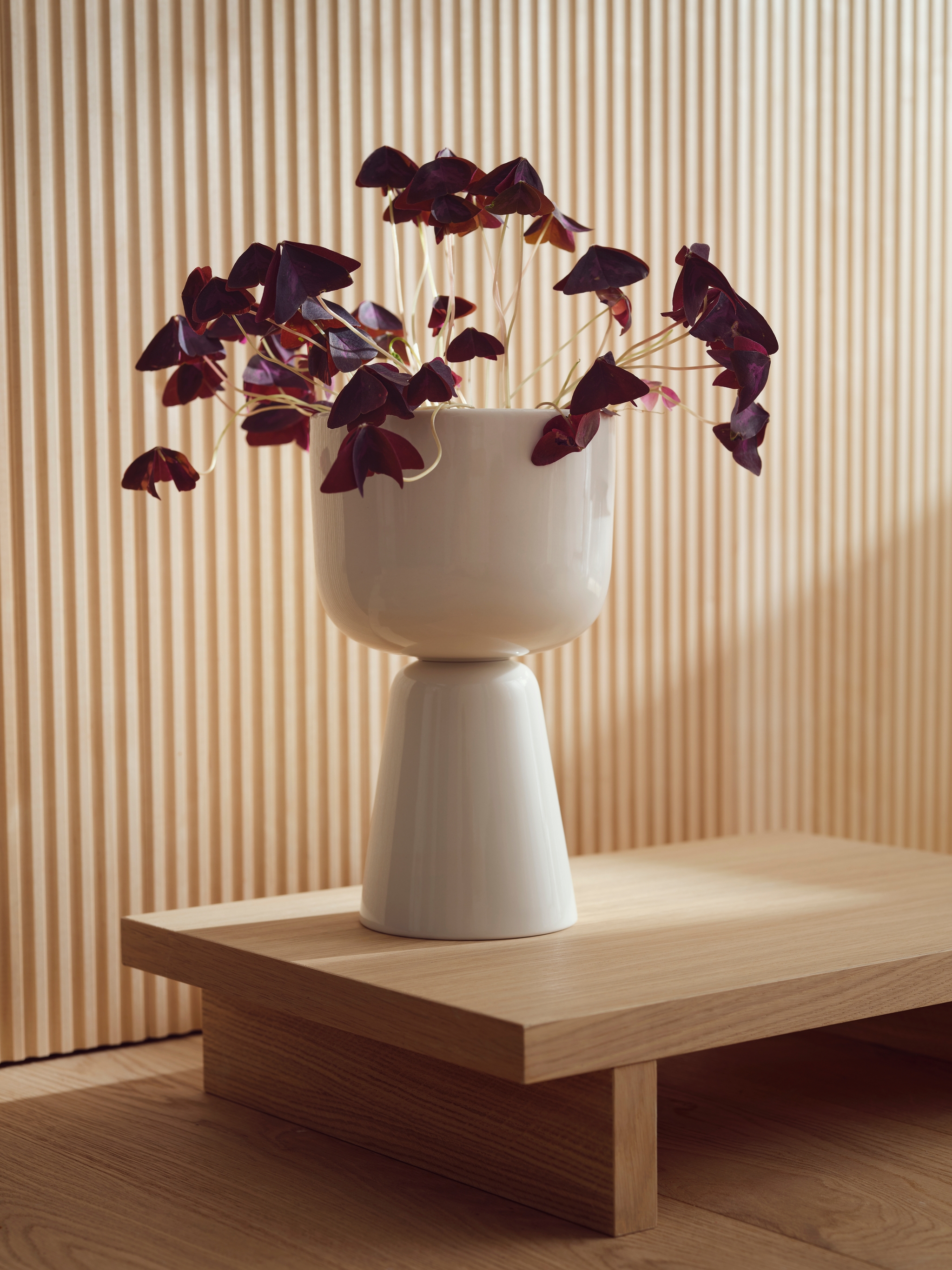 Valkoinen maljakko, jossa on kasvi, seisoo puisella pöydällä