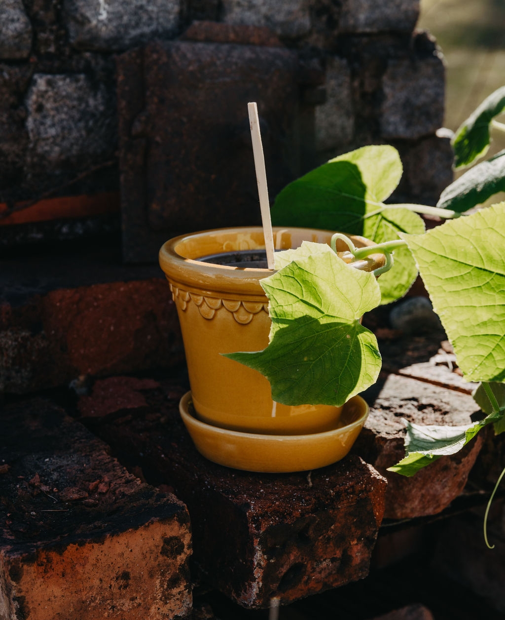 Bergs Potter gul krukke