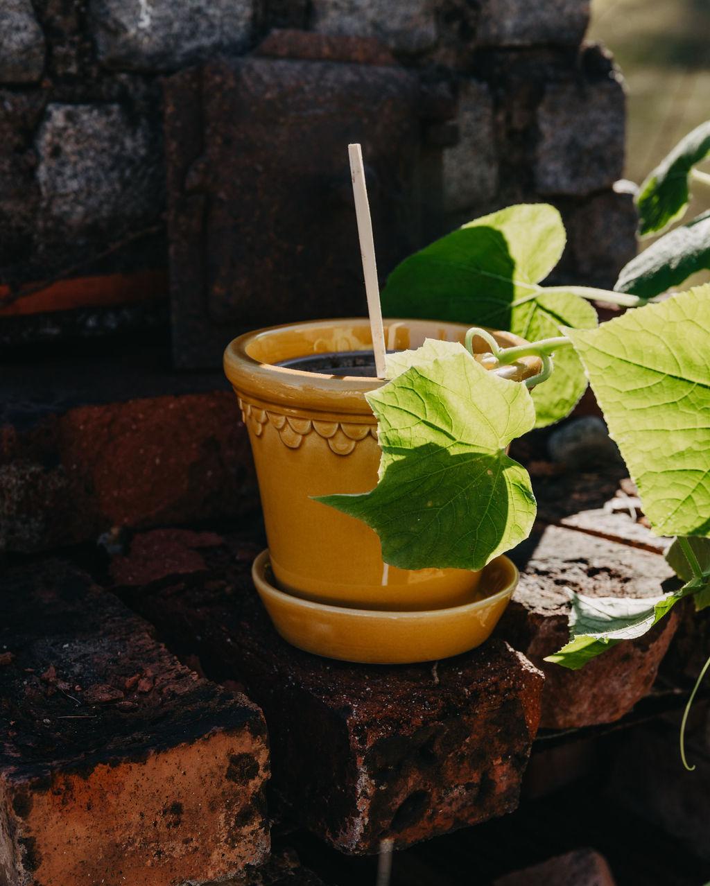 Bergs Potter gul krukke