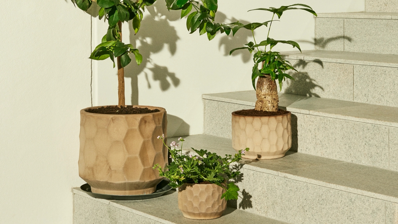 Erikokoiset ja erimuotoiset rosa-beige kukkaruukut erilaisille kasveille