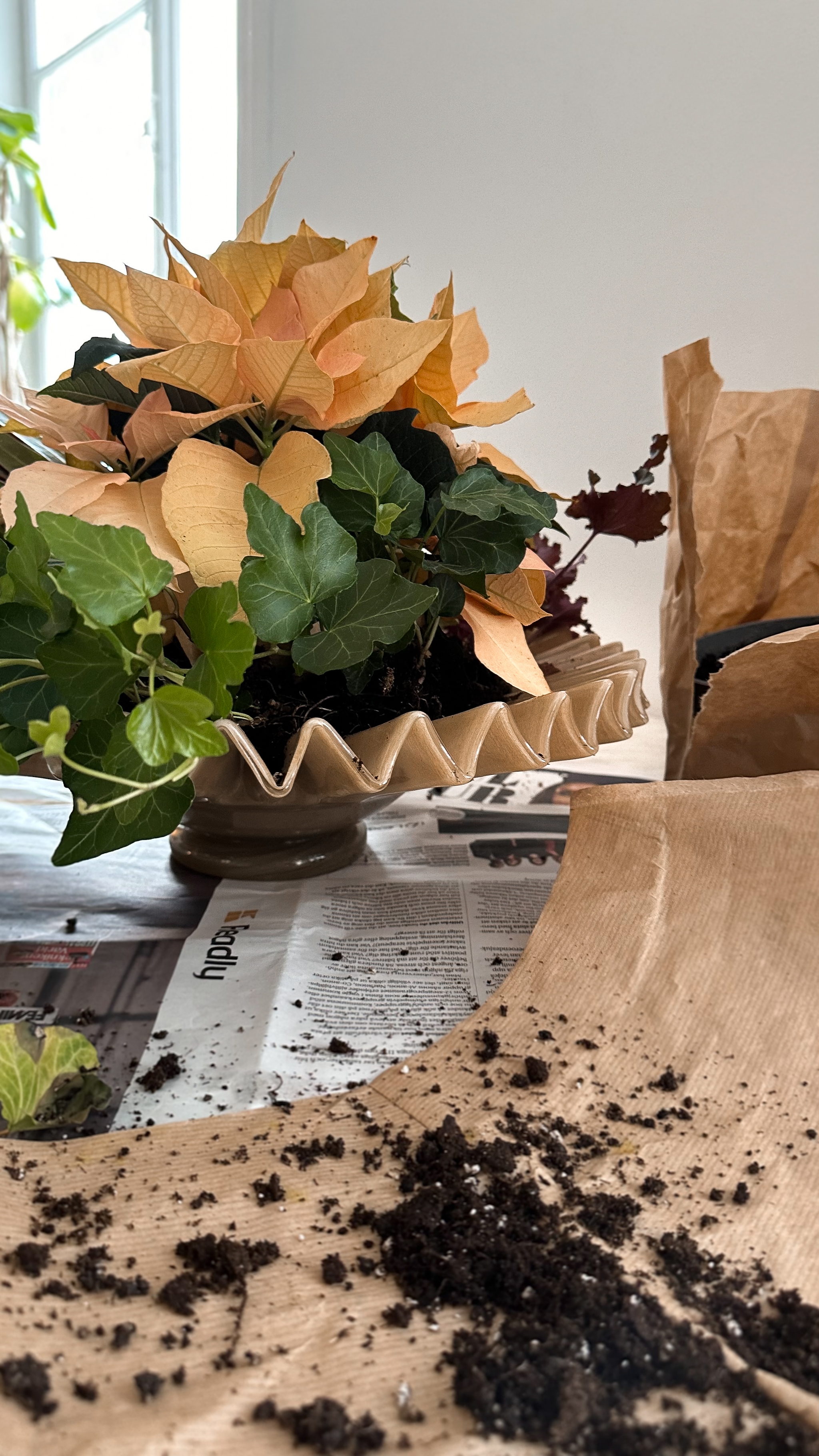 Potted peach-colored plant and ivy on a table, with potting soil spilled on newspaper.