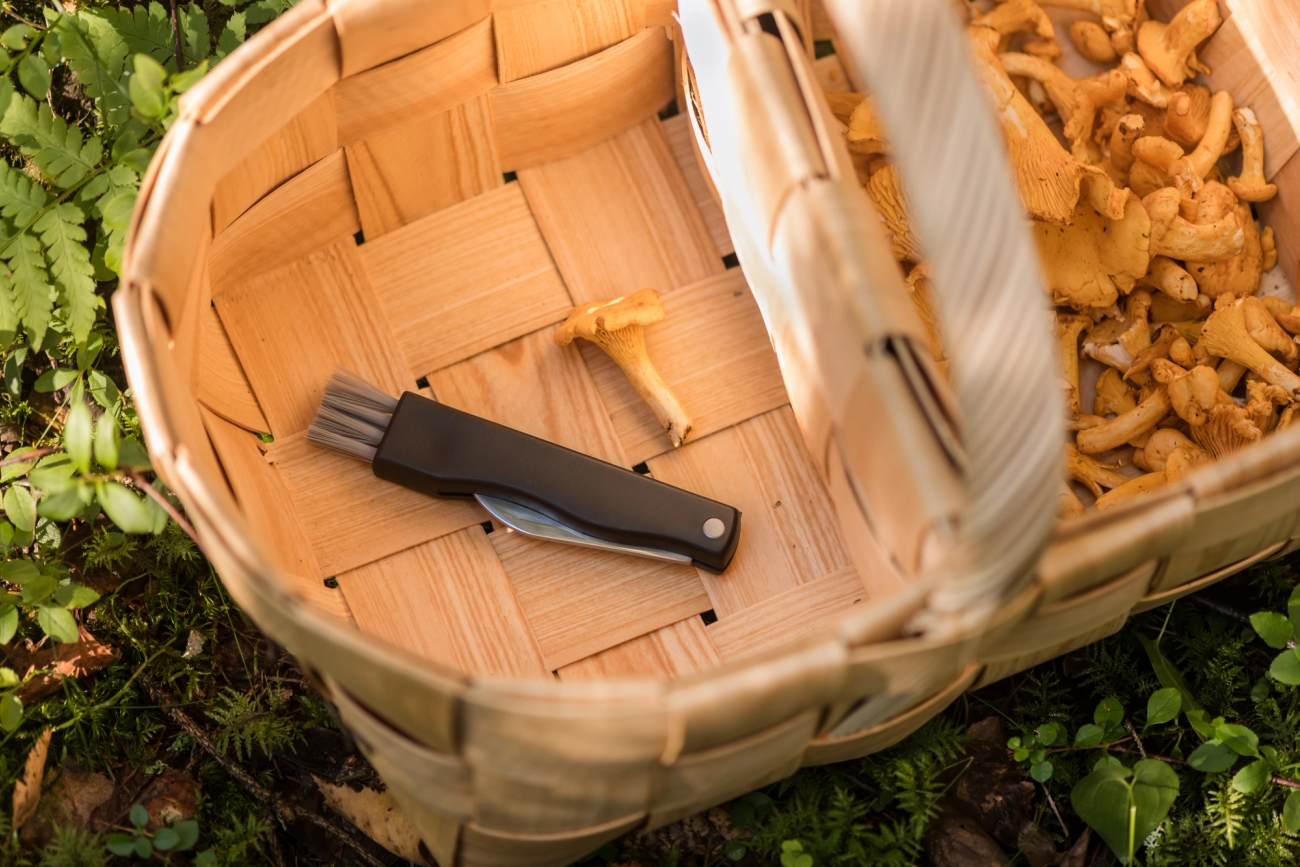 sienestys sieniveitsi ulkoilu 