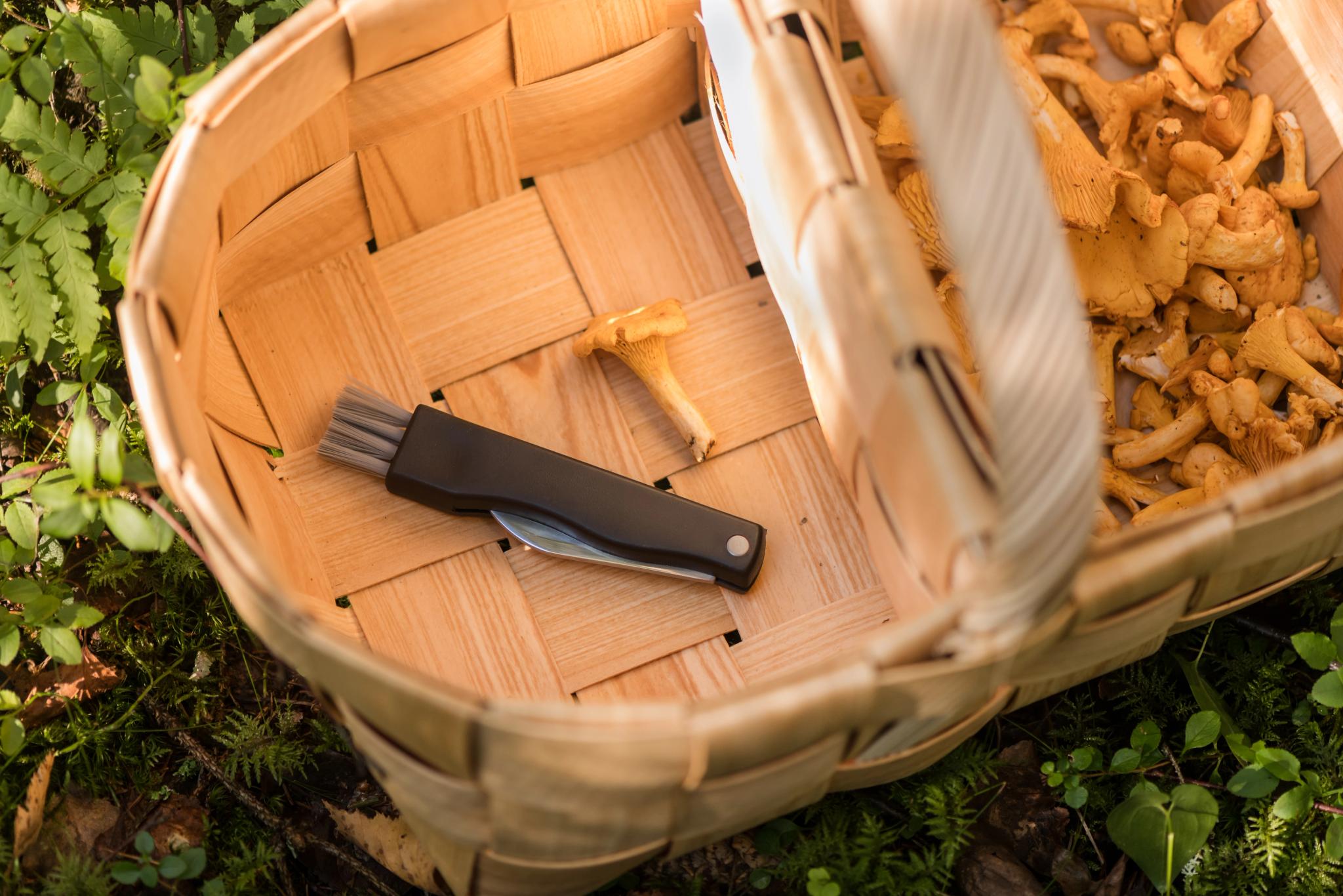 Alt for sopplukkingen