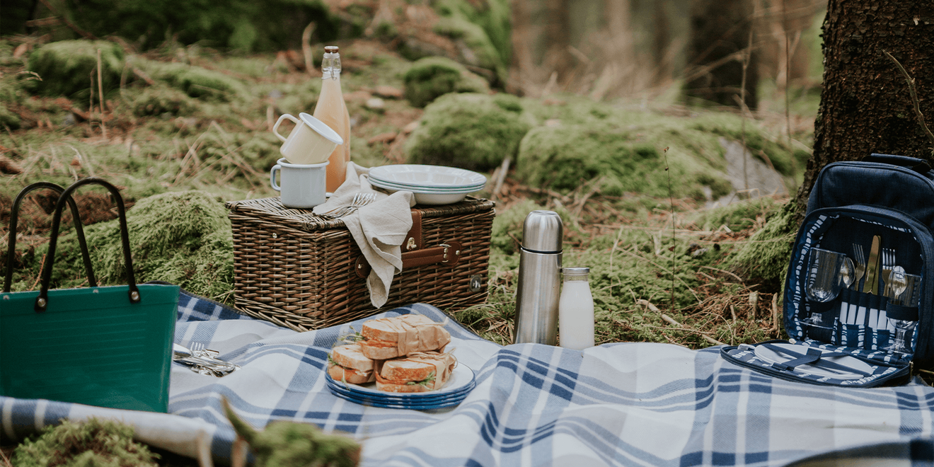 Picknick på picknickfilt med picknickkorg och termos i skogen