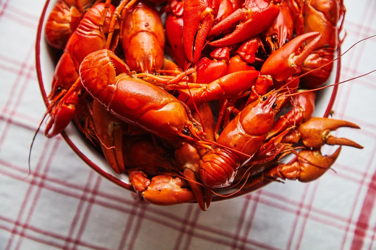 Kräftservisen och Alf Wallander