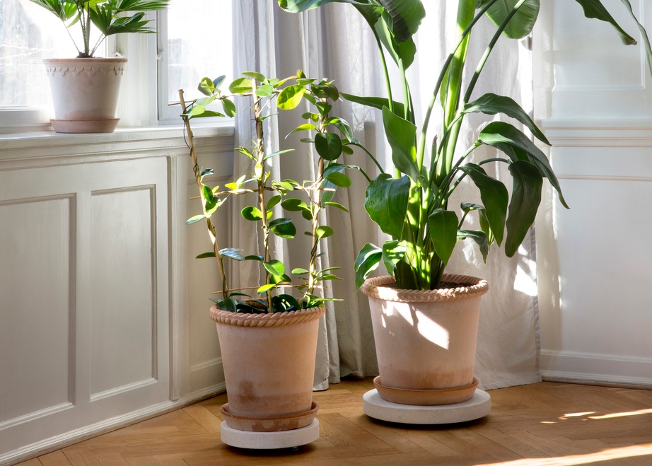 Bergs Potter Emilia kukkaruukku saviruukku ruukku isot ruukut viherkasvit