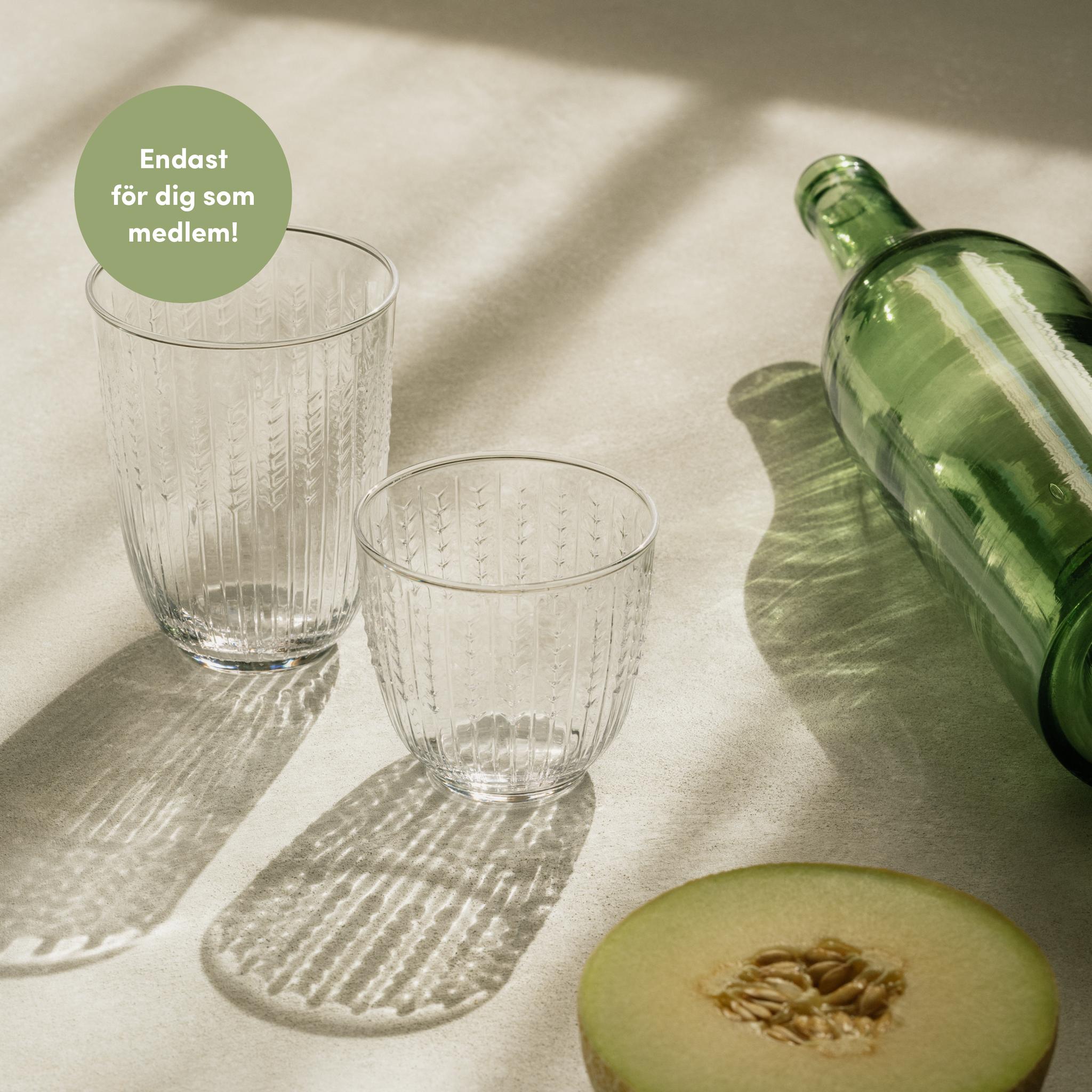 Medlemserbjudande 15% på Swedish Grace glas & karaff