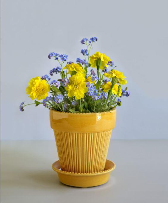 Gul Simona kruka från Bergs Potter med gula och blå blommor