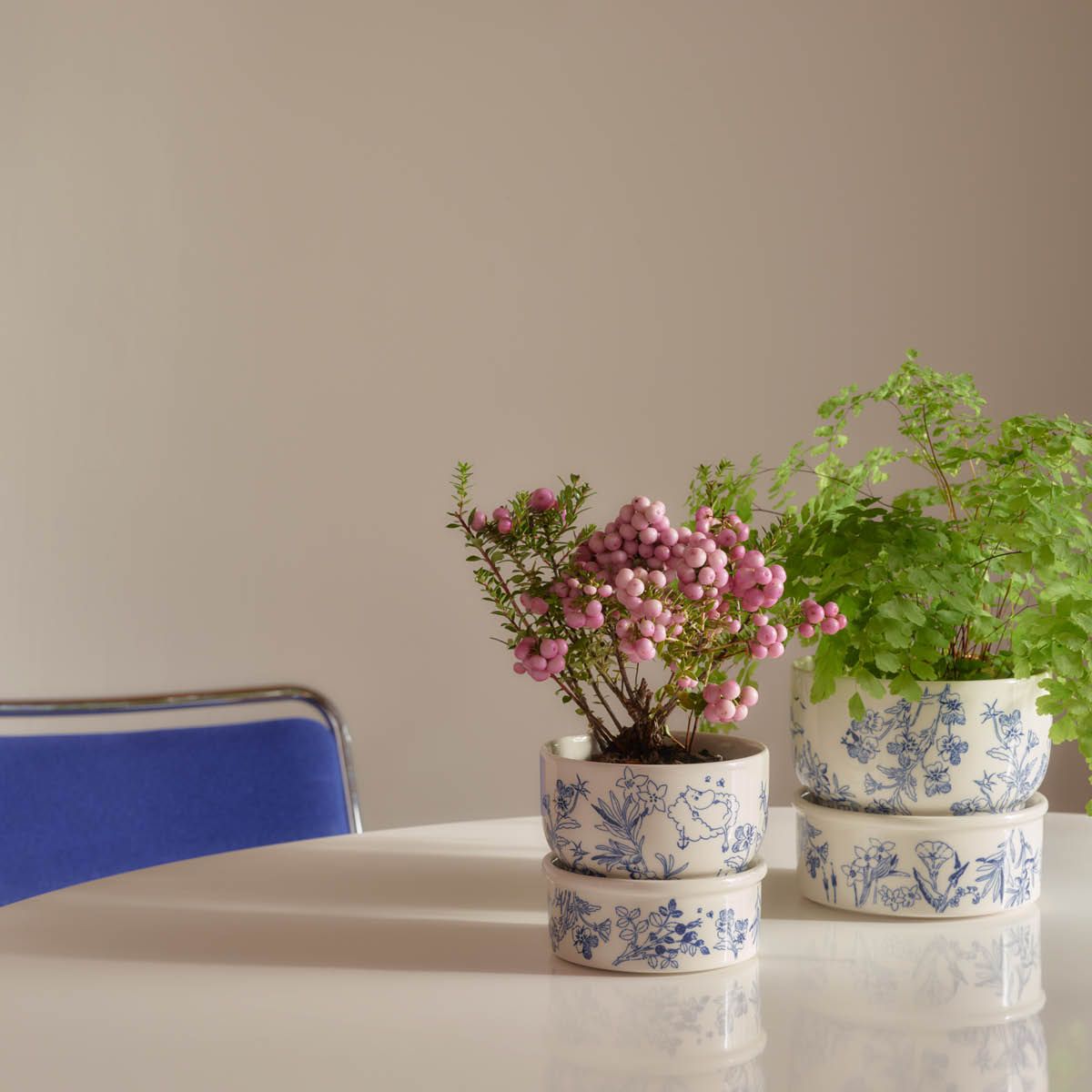 Två växter i blå och vita blomkrukor: en med rosa bär, den andra en grön ormbunke, på ett vitt bord.