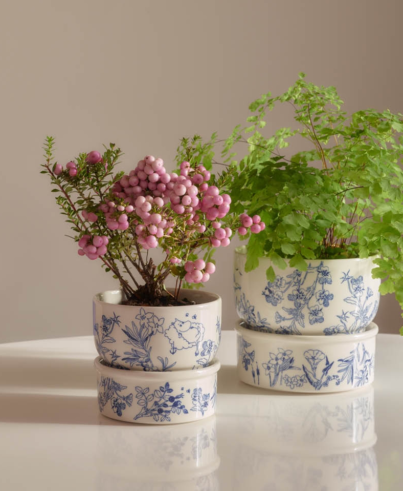 To planter i blå og hvite blomsterpotter, én med rosa bær og én grønn bregne, plassert på et hvitt bord.