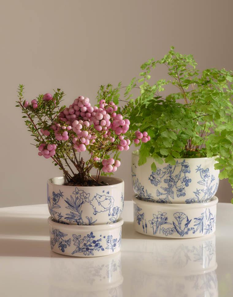 Kaksi haru kukkaruukkua kasvien kera valkoisella pöydällä