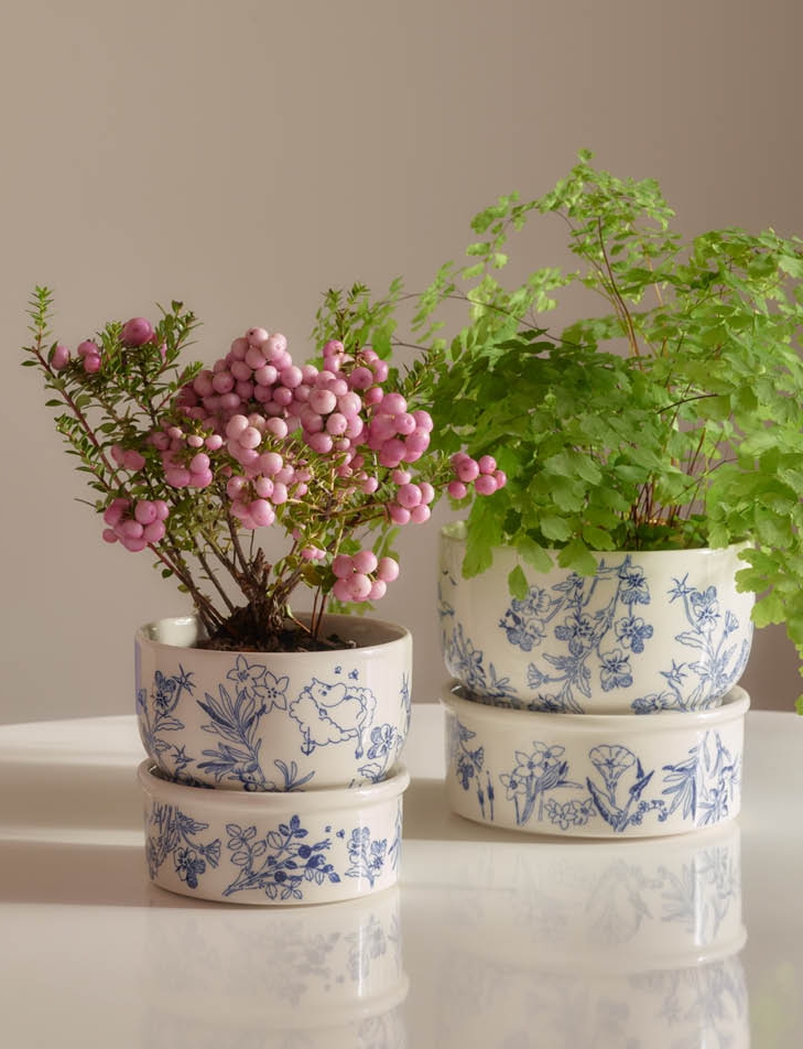 Kaksi haru kukkaruukkua kasvien kera valkoisella pöydällä