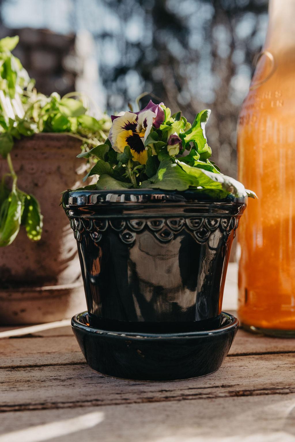 Bergs Potter krukke grønn
