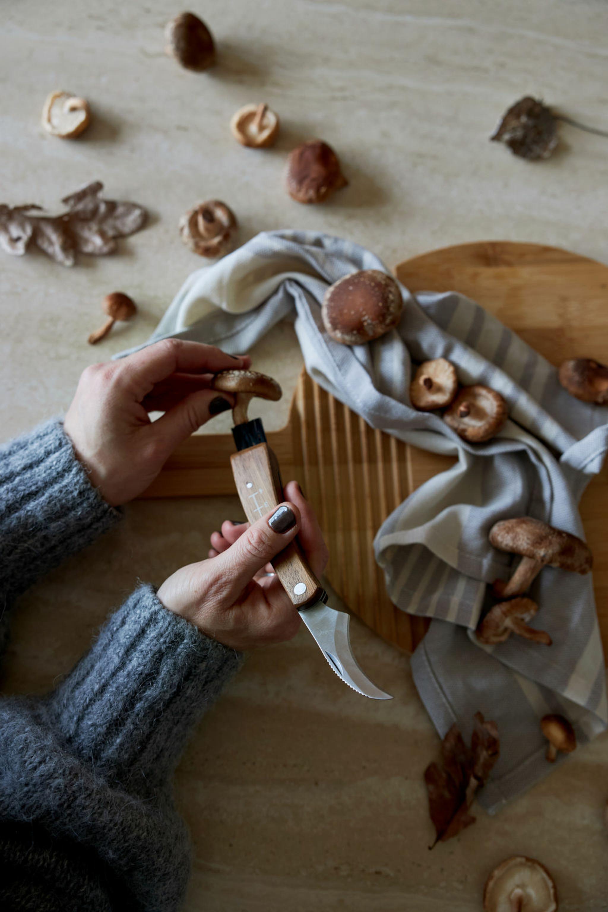 En person som rensar svampar