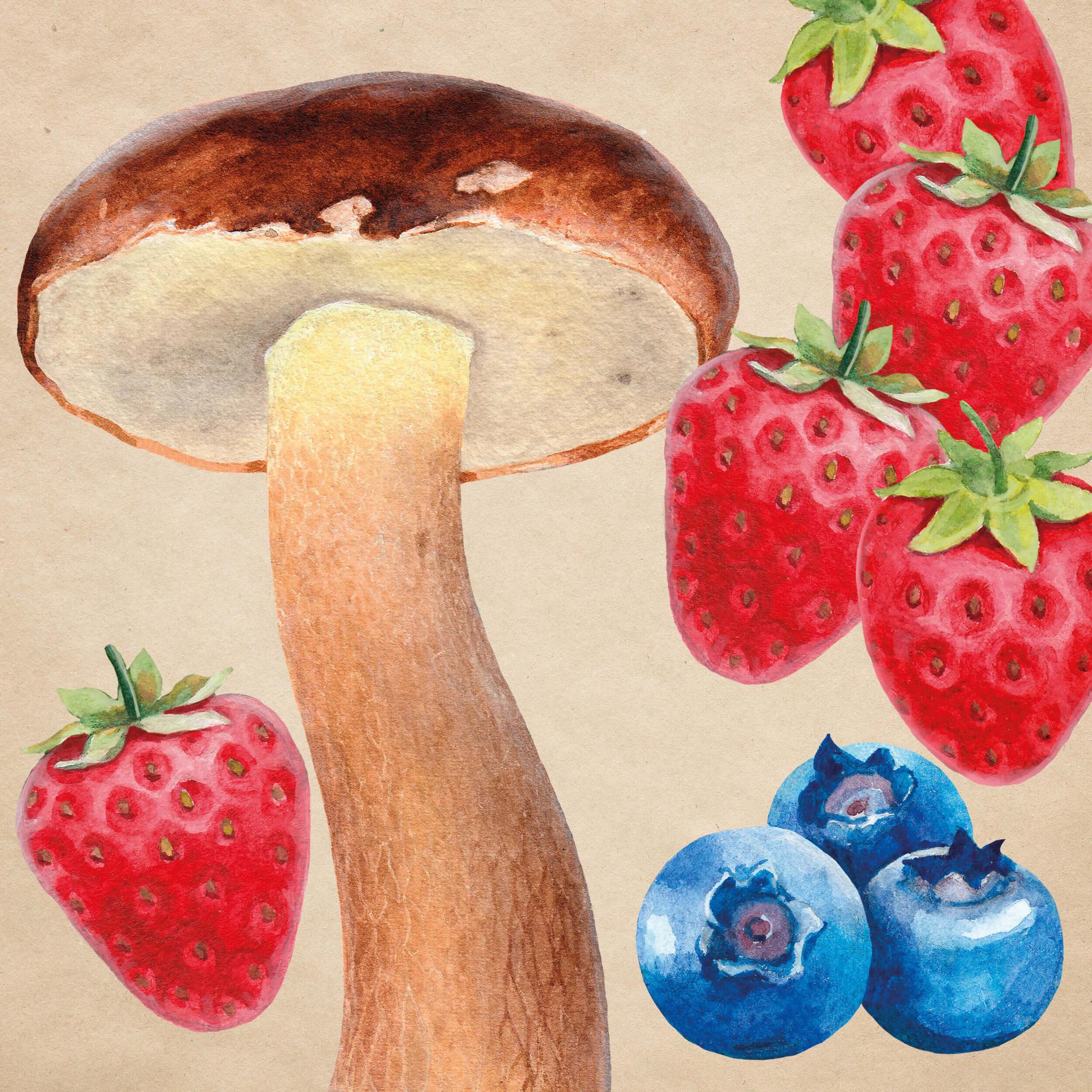 10 tips för en hållbar sommar