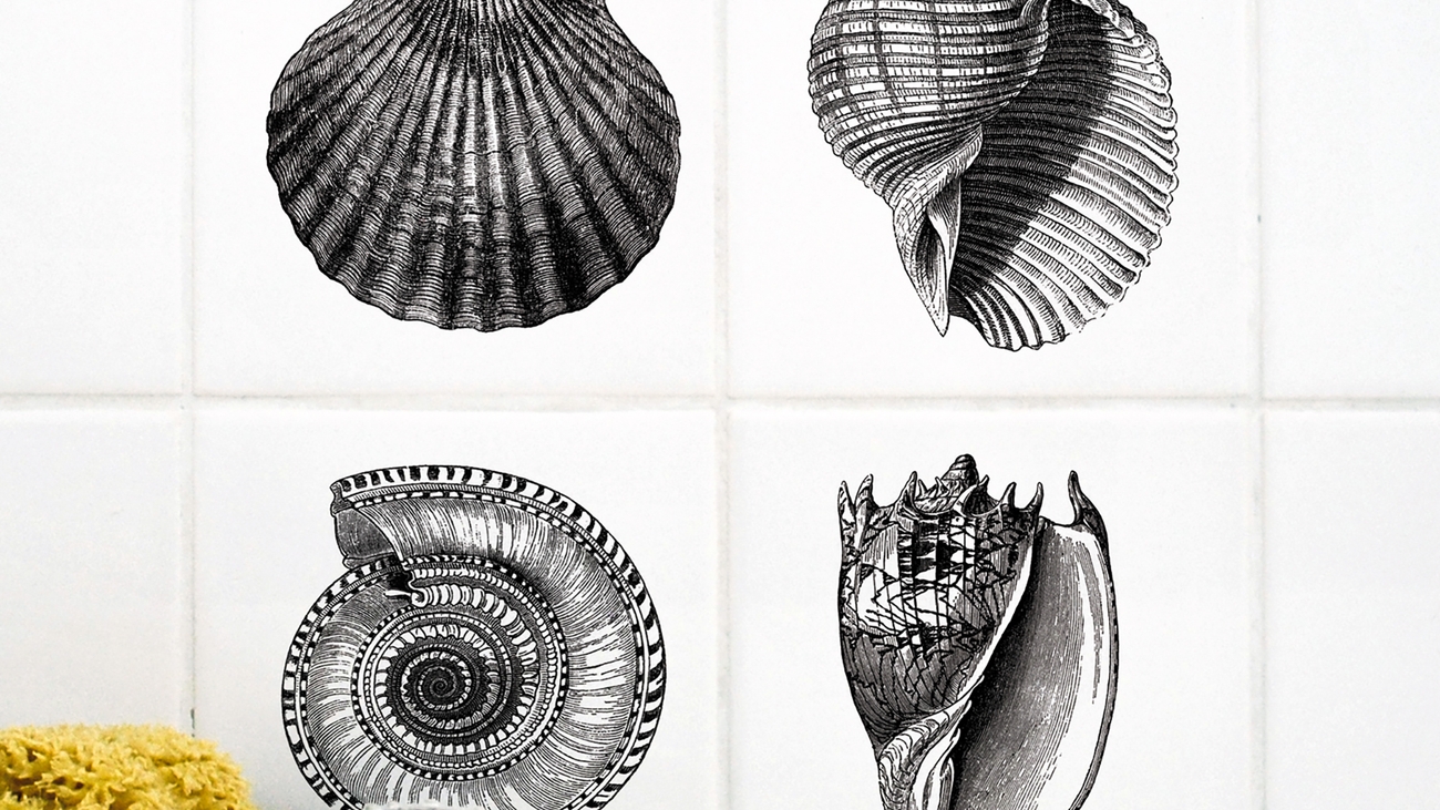 Boubouki kakel dekor svarta snäckor på vitt kakel